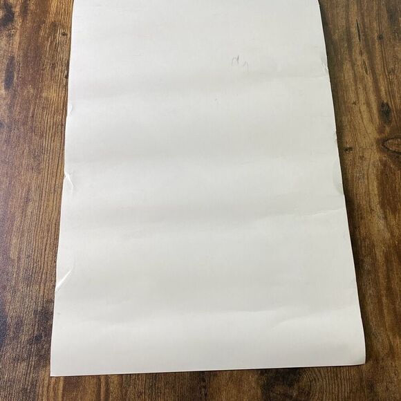 Kings of Leon concert tour poster 2017 Florida Crosgrove Mouse - Picture 7 of 7